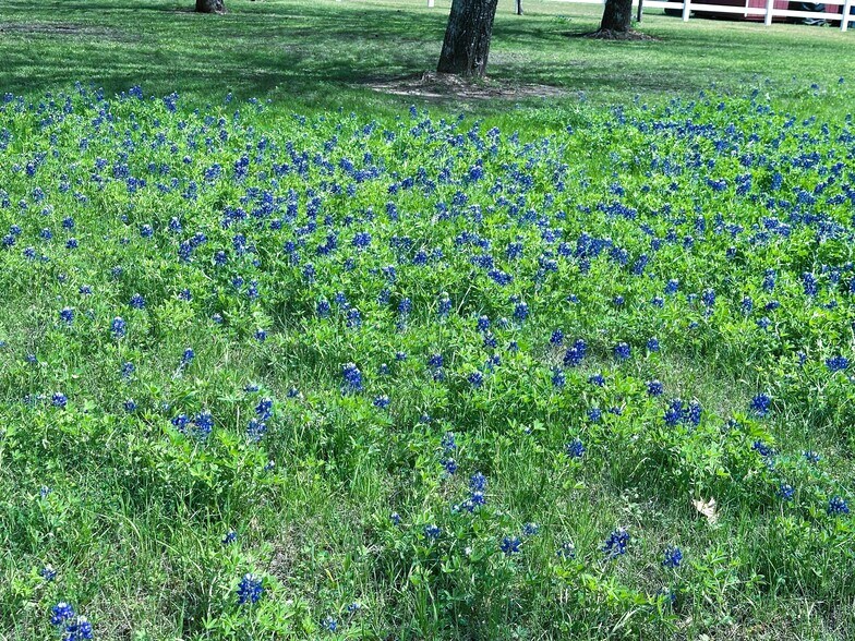 More Photos Of 231 Hostetter Rd, New Waverly Land For Sale