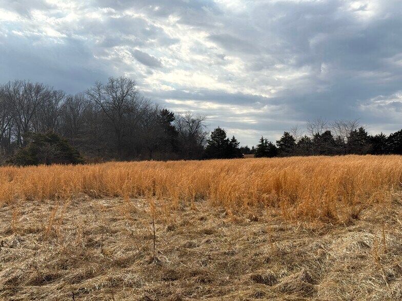 More Photos Of Pike 49 (12+/- Acres), Frankford Land For Sale