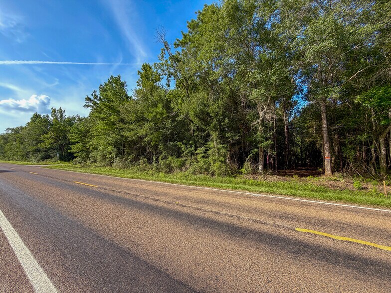 More Photos Of 3.39 Acres, FM 787, Saratoga Land For Sale
