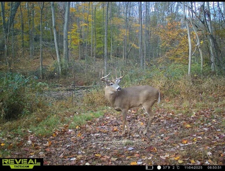 More Photos Of Burch Dr, Newark Land For Sale