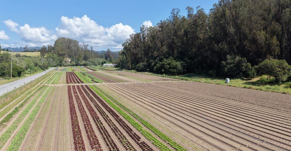 More Photos Of 216 Merk Rd, Watsonville Land For Sale