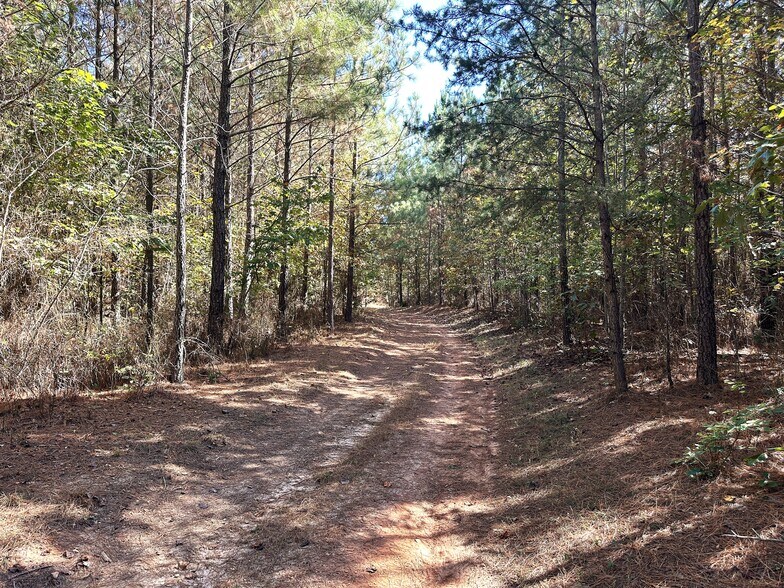More Photos Of tbd Green Creek Rd, Schuyler Land For Sale
