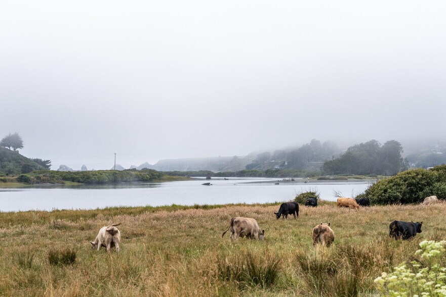 More Photos Of , Jenner Unknown For Sale