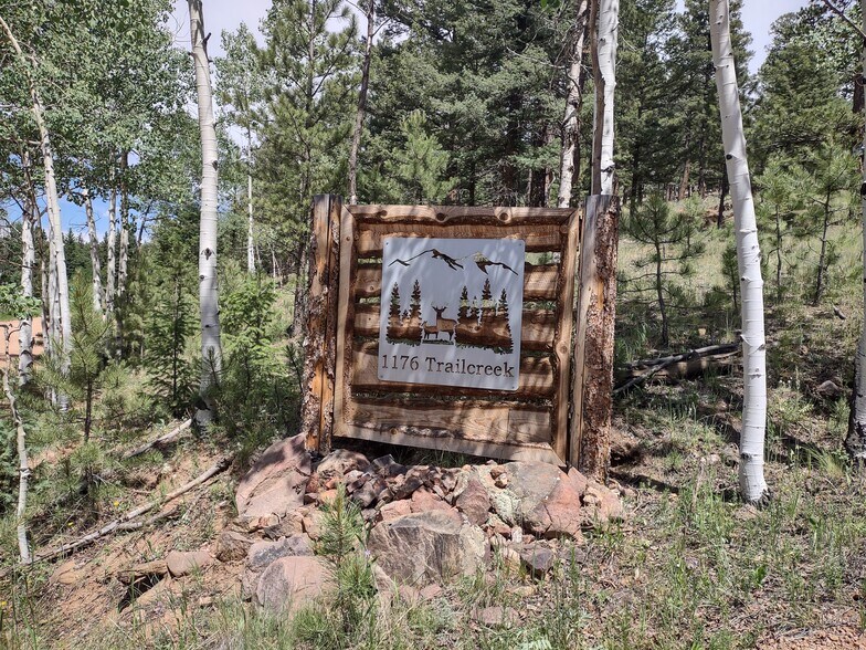 More Photos Of 1176 Trail Creek Rd, Lake George Land For Sale