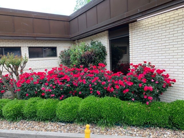 More Photos Of 1509-1601 E Front St, Tyler Medical For Sale