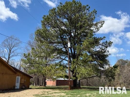 More Photos Of 3014 S Illinois Ave, Carbondale Veterinarian Kennel For Sale