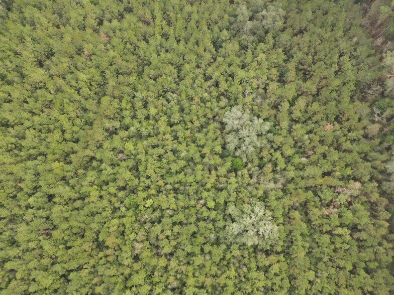 More Photos Of 0 Baldwin St, Satsuma Land For Sale