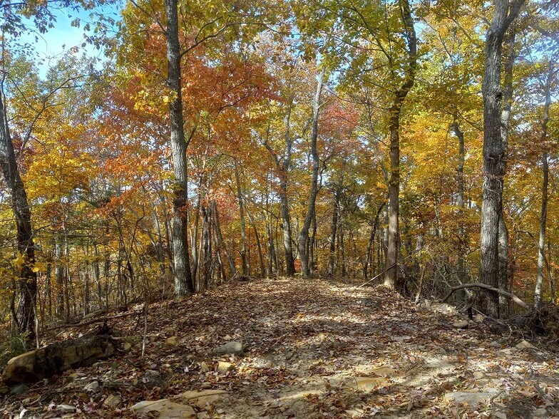 More Photos Of 1737A High Rock Rd, Stanton Land For Sale