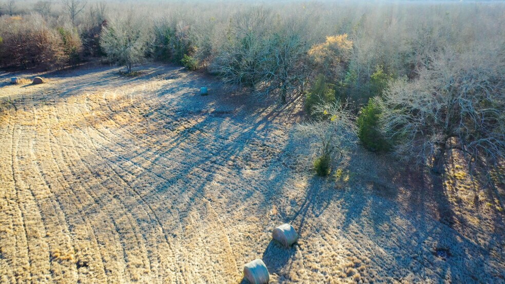 More Photos Of 1200 County 1255 rd, Detroit Land For Sale