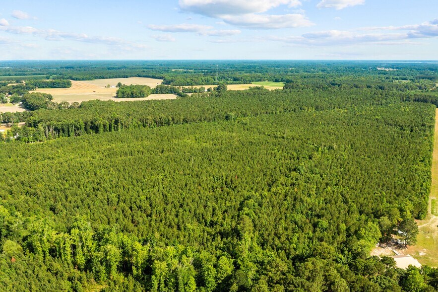 More Photos Of 4812 Mobleys Bridge Rd, Grimesland Land For Sale
