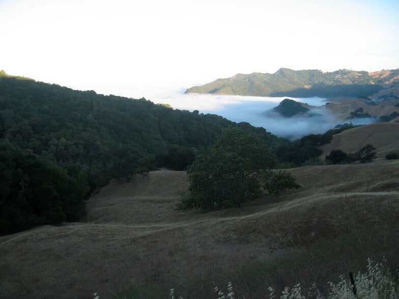 Primary Photo Of 9805 Santa Rosa Creek Rd, Templeton Land For Sale