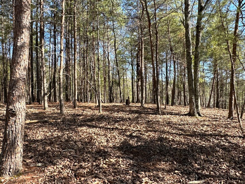 More Photos Of 3472 Prior Station Rd, Cedartown Land For Sale
