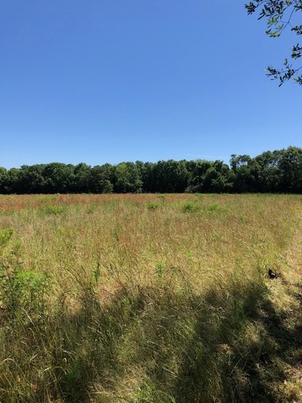 More Photos Of 12538 Bodenhamer Road, Foley Land For Sale