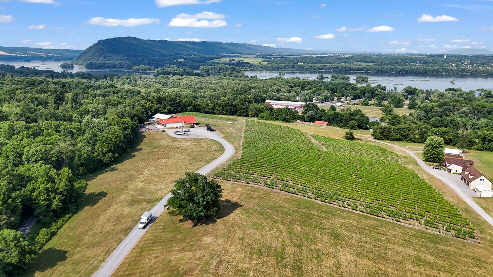 More Photos Of 3 Orchard Rd, Liverpool Winery Vineyard For Sale