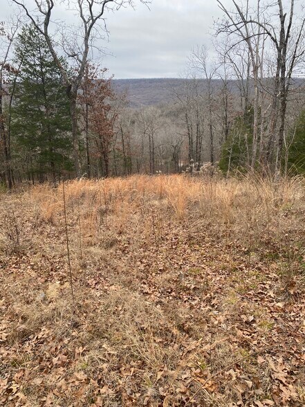 More Photos Of 0000 S 4610 Road, Marble City Land For Sale