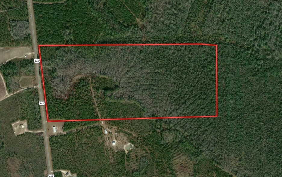 More Photos Of E/S of Pearson Highway at Cowart Road, Homerville Land For Sale