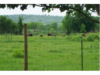 More Photos Of 11900 FM 812, Del Valle Land For Sale