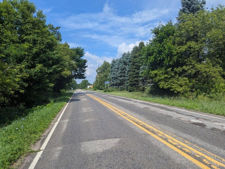 More Photos Of Lot 1 Vicary Road @ Meridian Rd. / US - 127, Cement City Land For Sale
