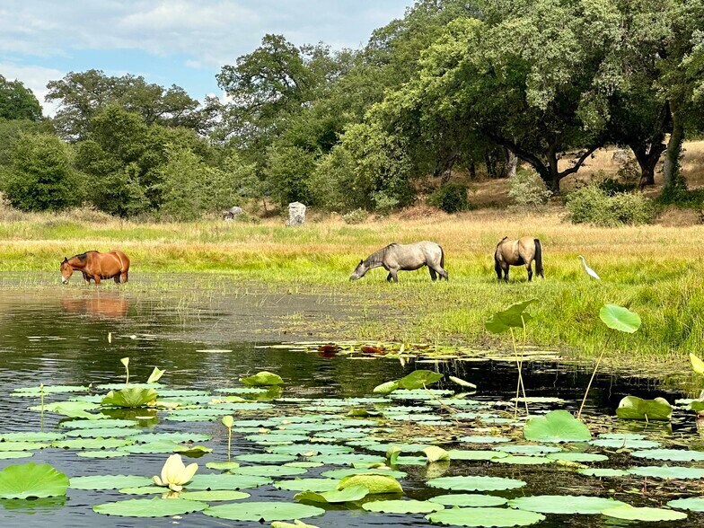 More Photos Of 25258 Mesa Grande Rd, Santa Ysabel Land For Sale