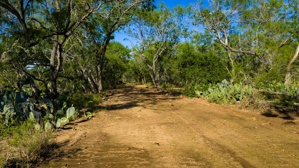 More Photos Of FM 791, Campbellton Land For Sale