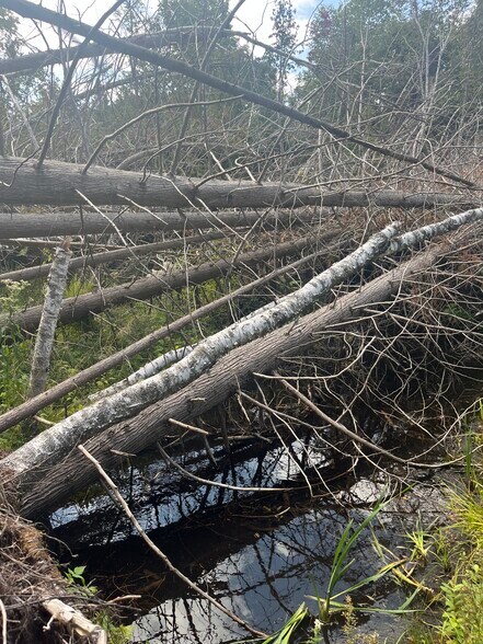 More Photos Of US Highway 141, Wausaukee Land For Sale