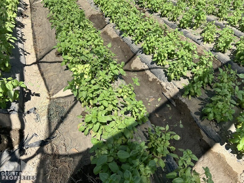 More Photos Of 78100 Harrison St, Thermal Land For Sale