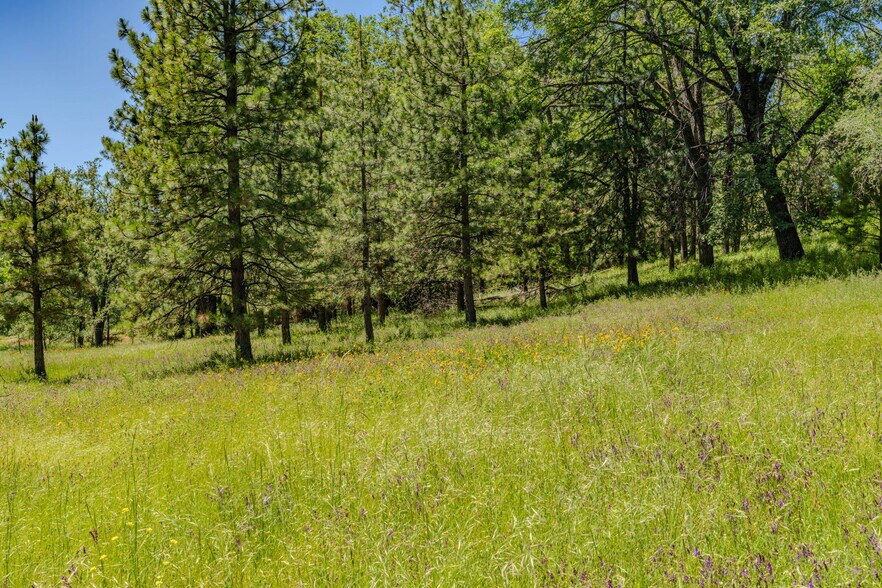 More Photos Of 25755 State Highway 88, Pioneer Land For Sale