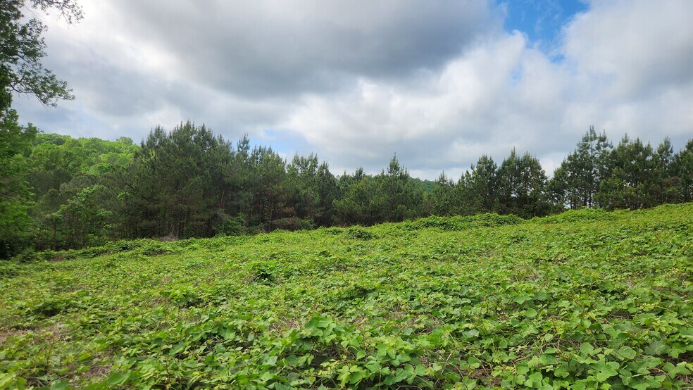 More Photos Of Near 5370 Deerfoot Parkway Pky, Trussville Land For Sale
