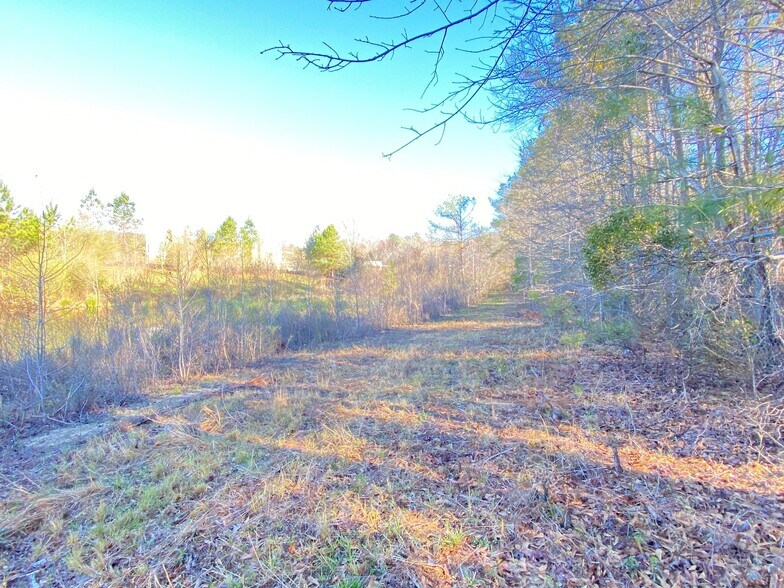 More Photos Of 6912 Jamesson, Columbus Land For Sale