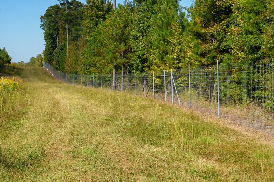 More Photos Of 18618 Hwy 43, Linden Land For Sale