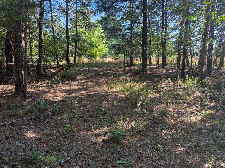 More Photos Of 0 Pinetree Way, Dahlonega Land For Sale