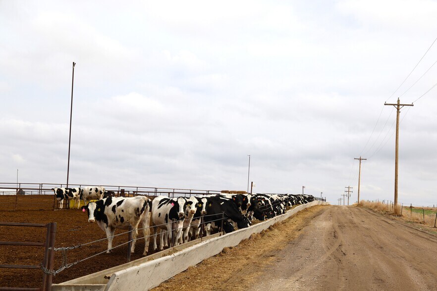 More Photos Of 11905 Co Rd 5, Merino Land For Sale