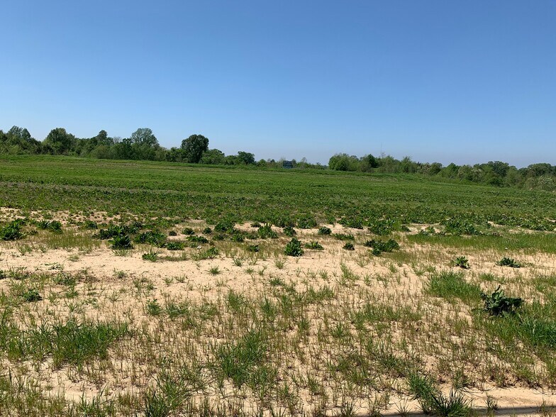 Primary Photo Of 380 Highway 61 S, Natchez Land For Sale