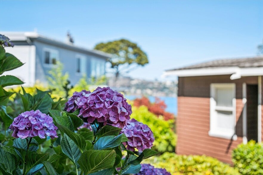 More Photos Of 47 Bulkley Ave, Sausalito Apartments For Sale