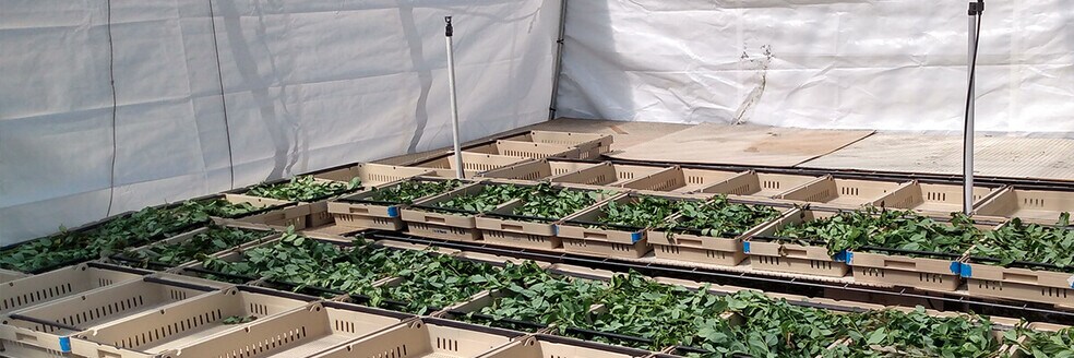 More Photos Of 3510 Walk in Water Rd, Lake Wales Winery Vineyard For Sale