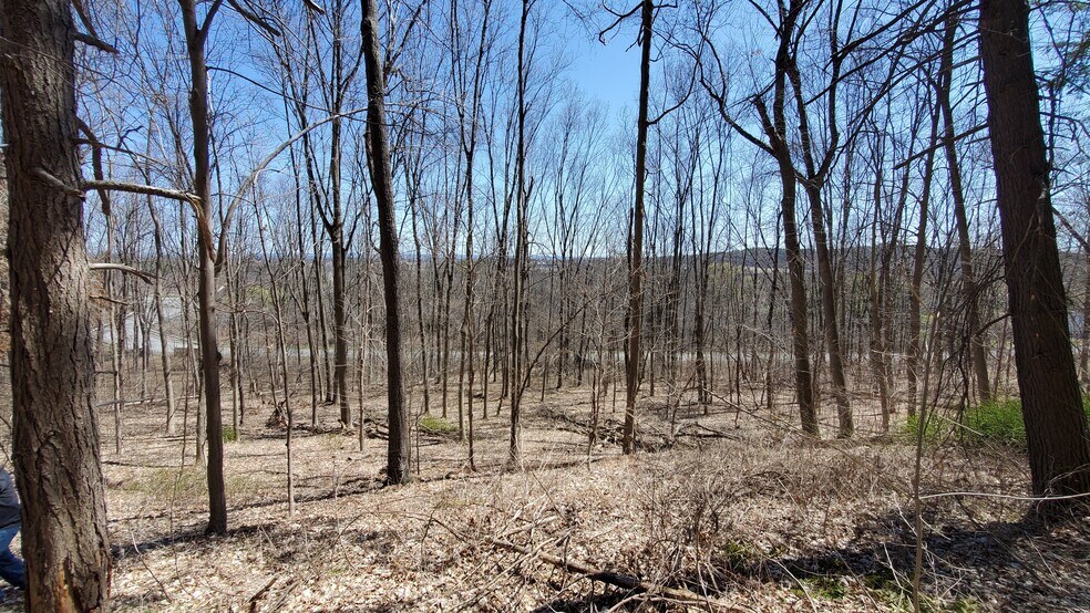More Photos Of Lot 29 Lot 29 Old Plank Rd. Rd, Coxsackie Land For Sale