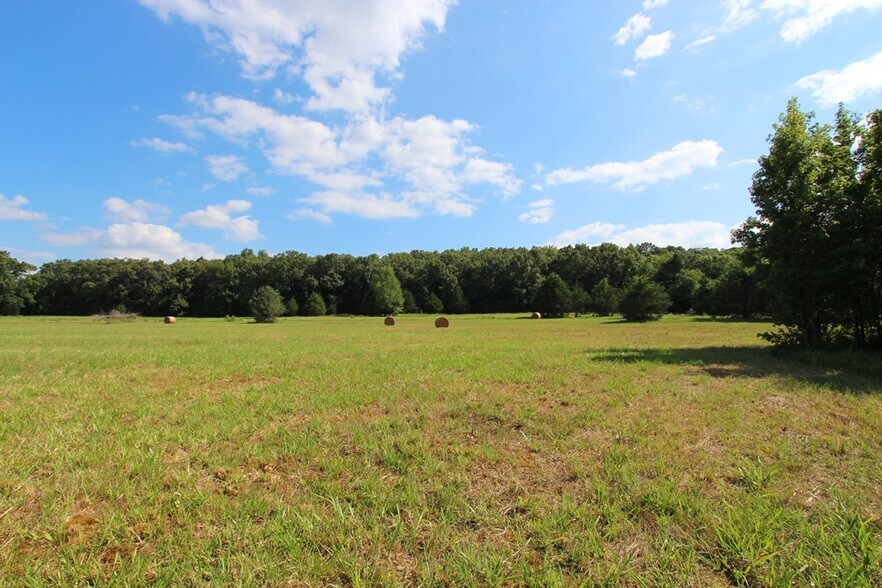More Photos Of 278 Highway 64 E, Conway Land For Sale