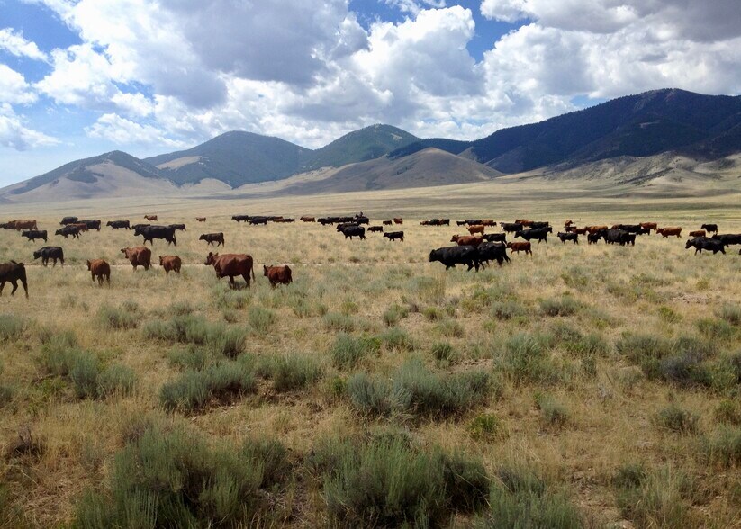 More Photos Of 3750 Pahsimeroi Rd, May Land For Sale