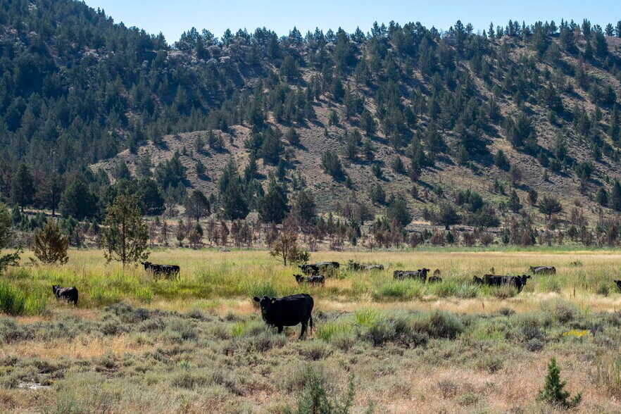 More Photos Of 32611 Tackman Rd, Prineville Land For Sale