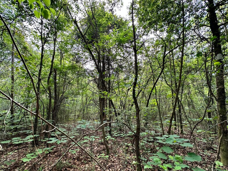 More Photos Of 0 Wilmer, Wilmer Land For Sale