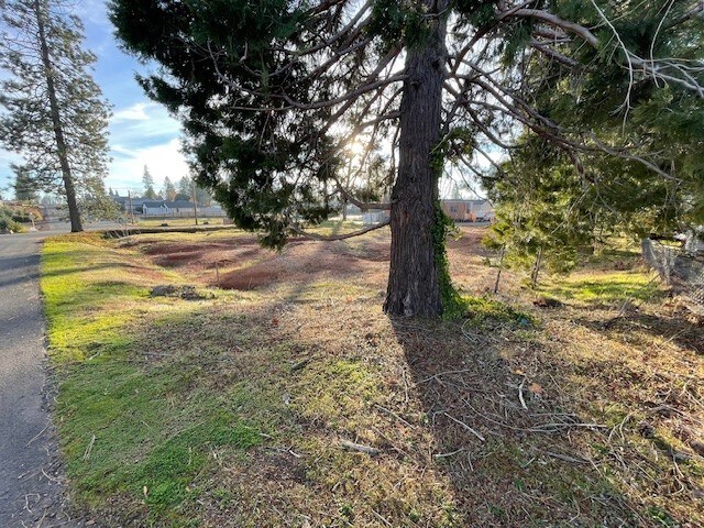 More Photos Of 1573 Bille Rd, Paradise Land For Sale