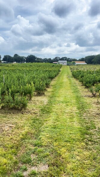 More Photos Of 3510 Walk in Water Rd, Lake Wales Winery Vineyard For Sale
