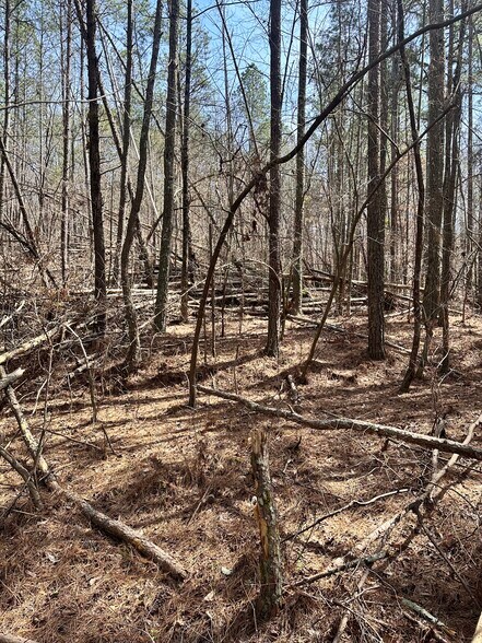 More Photos Of 0 Autry Rd, Plainville Land For Sale