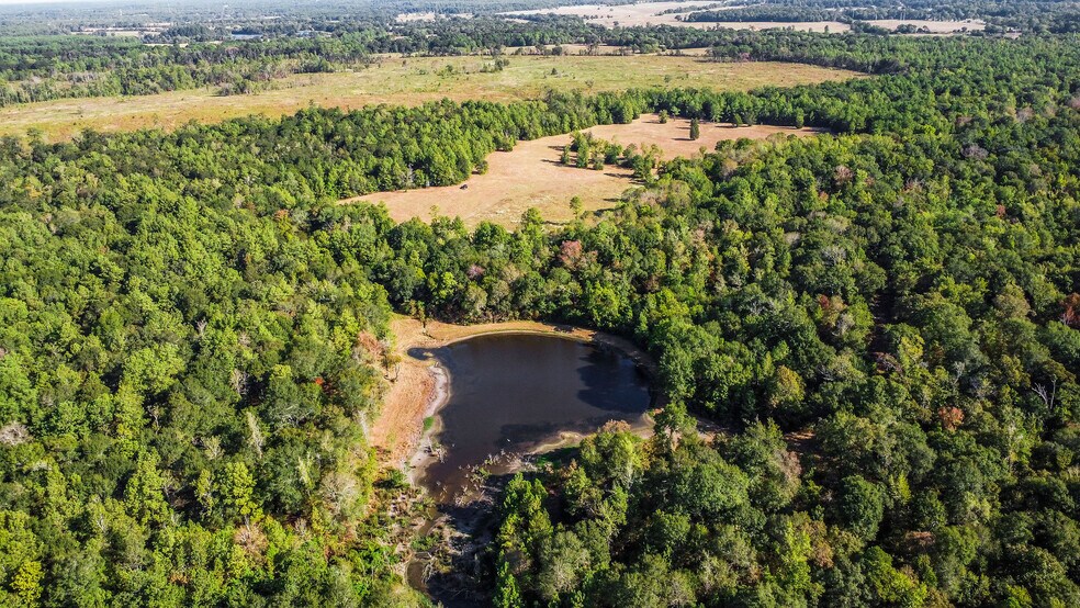 More Photos Of 15863 Rogers, Willis Land For Sale