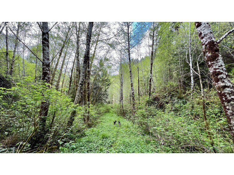 More Photos Of 18-10-00-00-01300500, Mapleton Land For Sale