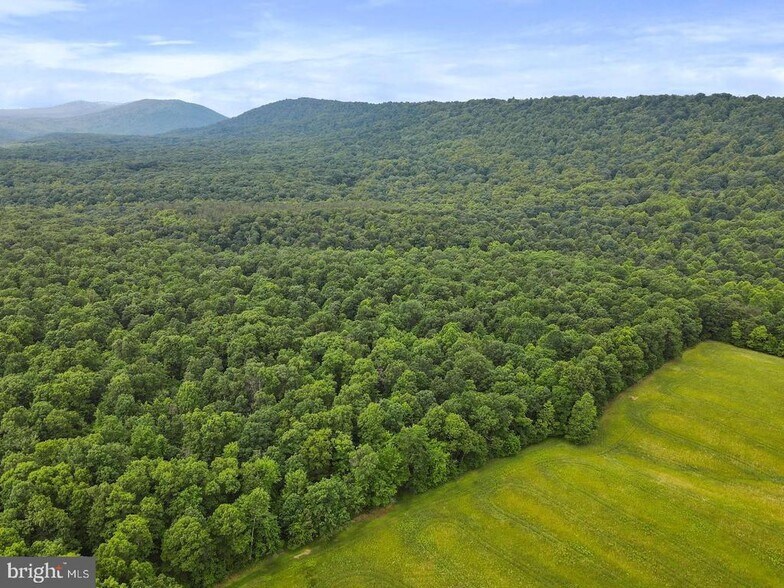 More Photos Of Porter's Ln, Hancock Land For Sale