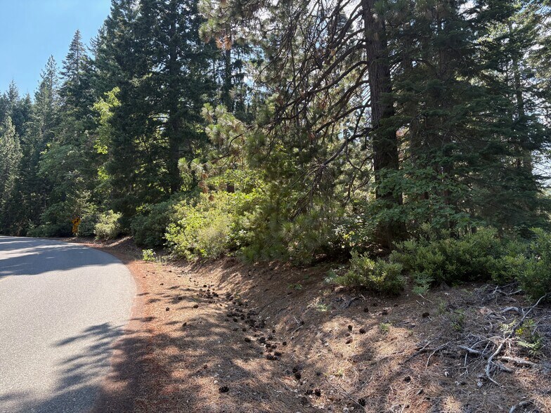 Primary Photo Of Castle Lake Rd, Mount Shasta Land For Sale