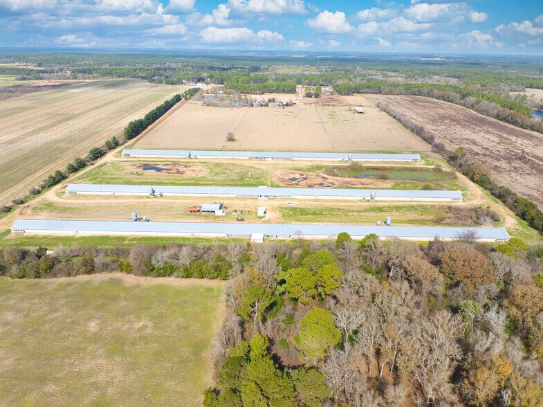More Photos Of 441 Weaver Rd, Moultrie Land For Sale
