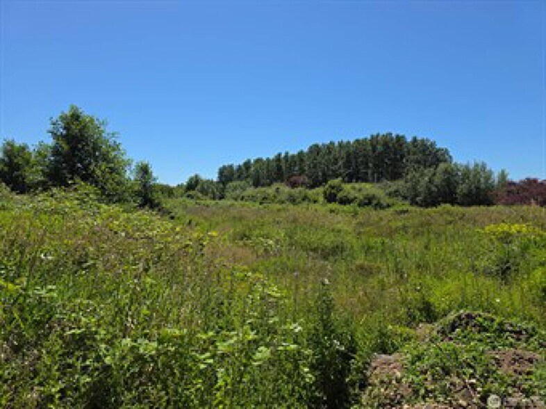 More Photos Of 1361 Peltier Dr, Point Roberts Land For Sale