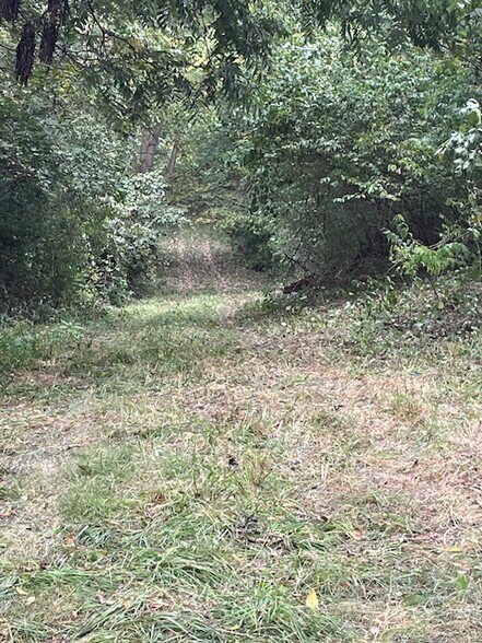 More Photos Of 380 3179th Rd, La Salle Land For Sale